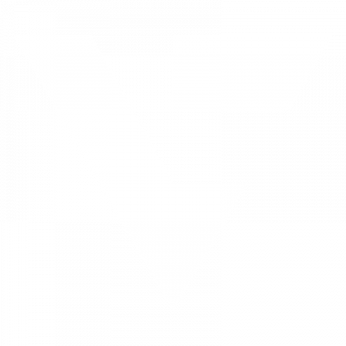 VERSU5_logo_weißauftransparent_800x800